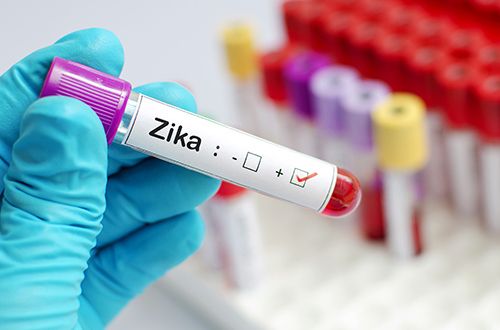 Planos de saúde serão obrigados a cobrir exames de Zika 38