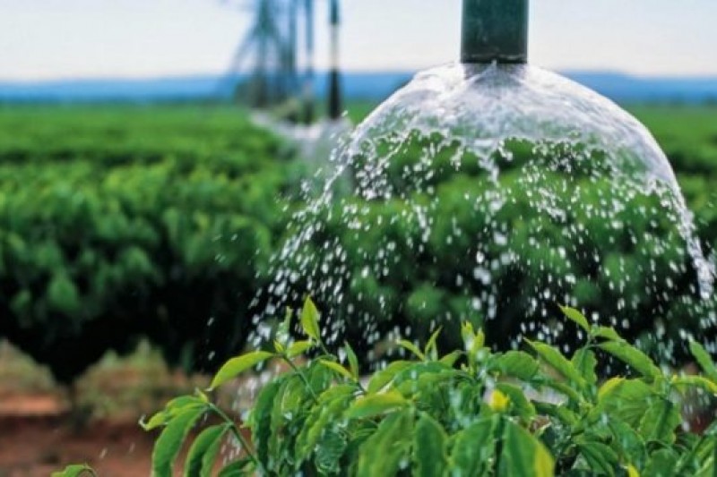Foto: Reprodução - Fazendeiro é preso acusado de furtar energia para usar na plantação de café