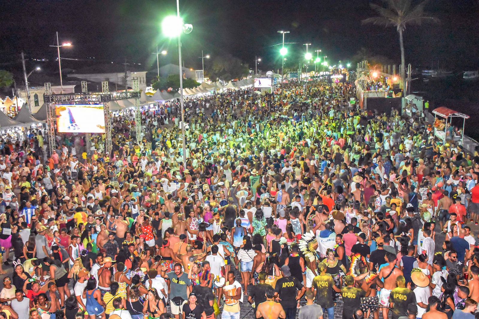 Folia emana alegria no encerramento do Carnaval Porto Seguro 2020. (Foto: Divulgao)
