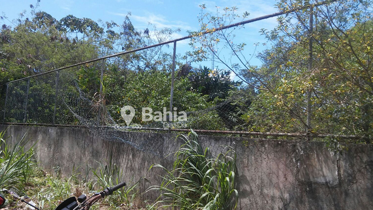 Presos cortaram uma cerca de ao e fugiram por um matagal. (Foto: C.Silveira/BAHIA DIA A DIA)