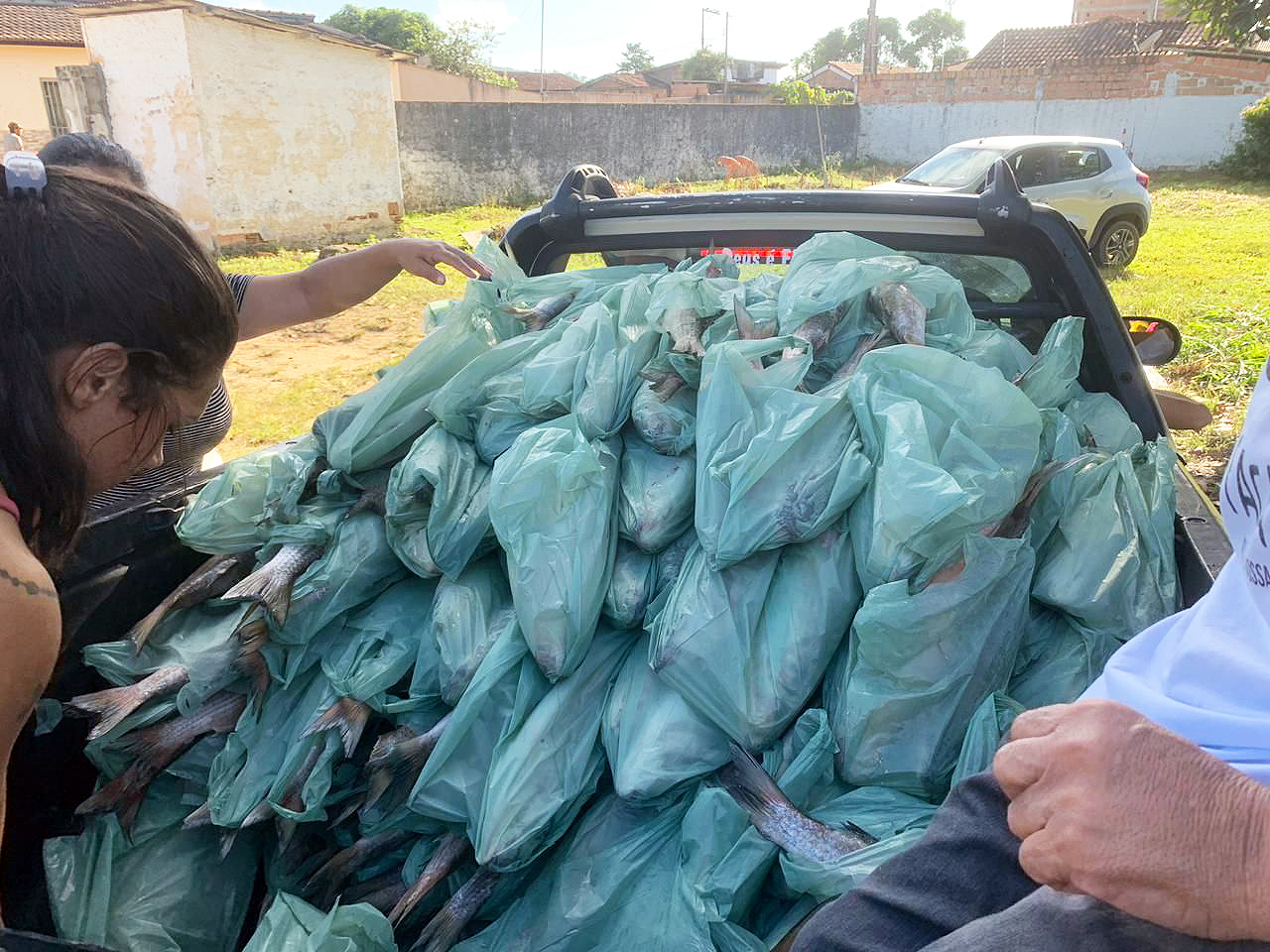 Prefeitura de Itabela entrega 5 mil quilos de peixe para famlias carentes. (Foto: Divulgao)