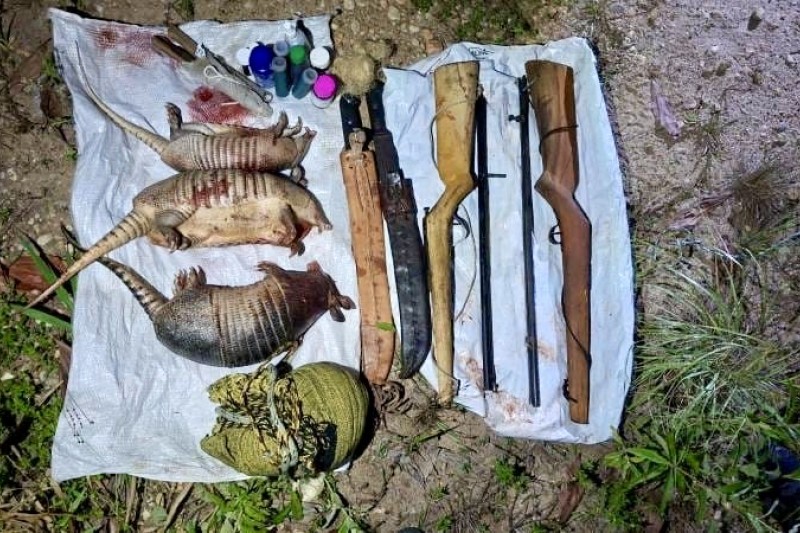 Foto: Divulgação - Polícia Militar atua no combate ao crime ambiental na cidade de Itagimirim