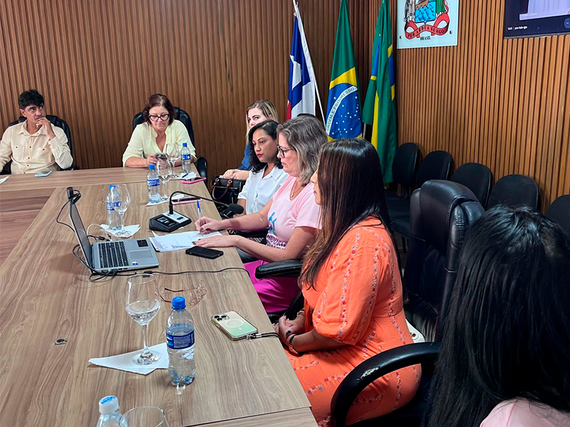 Procuradoria Especial da Mulher  implementada na Cmara de Vereadores de Itabela. (Foto: Divulgao)