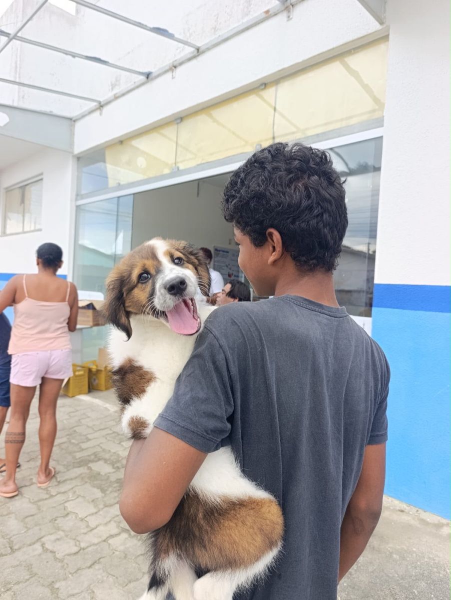 Prefeitura de Eunápolis supera marca de 14,2 mil animais vacinados contra a raiva Prefeitura de Eunápolis supera marca de 14,2 mil animais vacinados contra a raiva