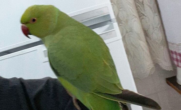 Quem tiver alguma informa��o pode entrar em contato pelo telefone (73) 981542151.