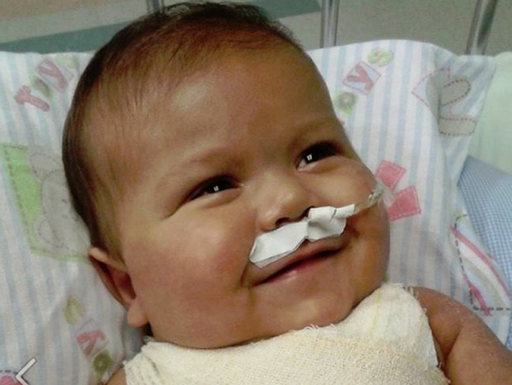 Foto: Divulgação Foto: Divulgação