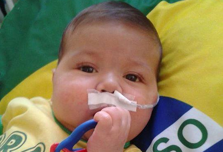 Foto: Divulgação Foto: Divulgação