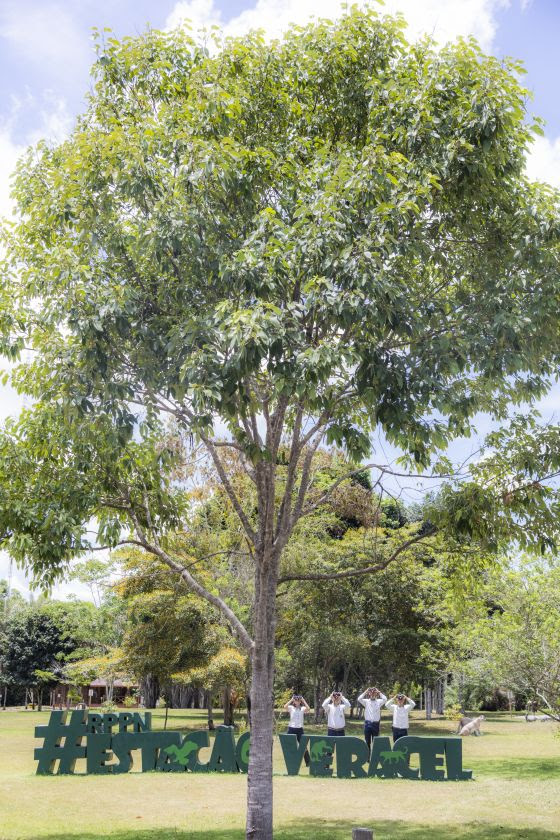 Estao Veracel completa 23 anos de proteo e conservao da Mata Atlntica. (Foto: Divulgao)